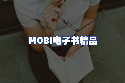 外文电子书产品